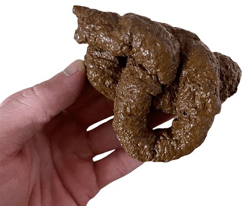 fake dog turd|Fake Dog Poop Crap .